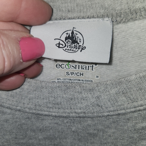 Disney Parks Walt Disney World 2019 Sweatshirt - Picture 3 of 5